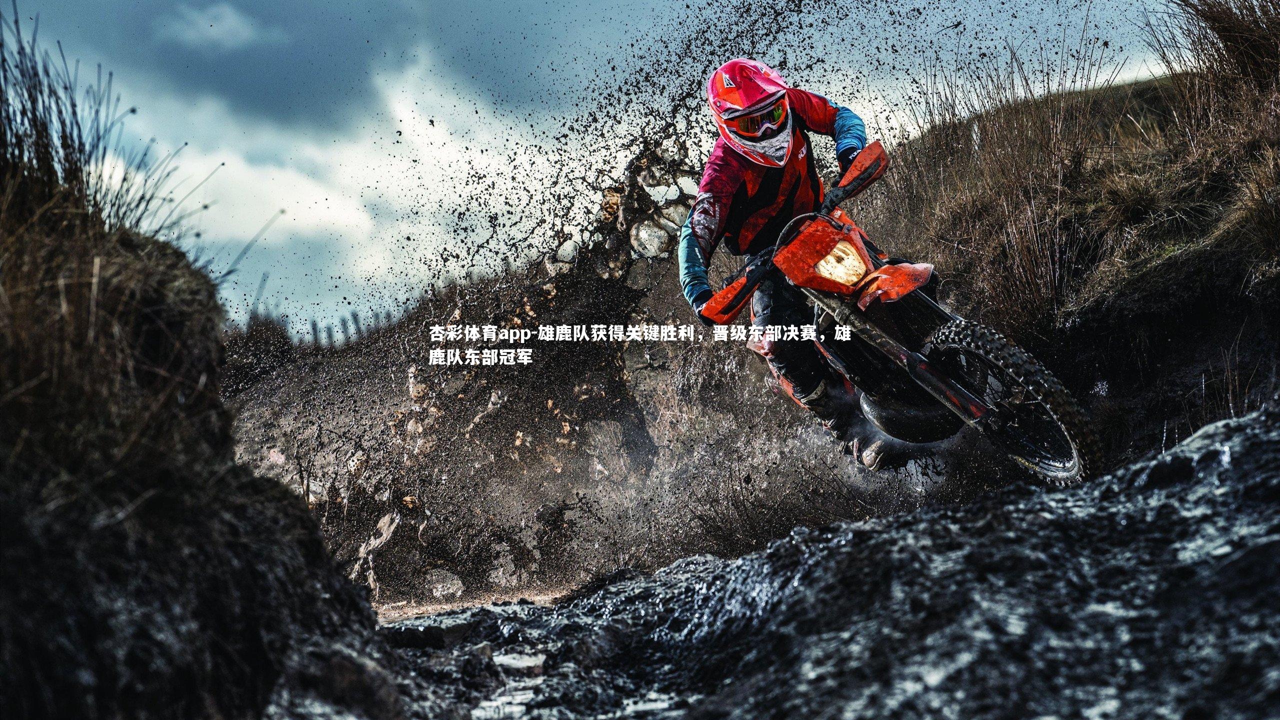 杏彩体育app-雄鹿队获得关键胜利，晋级东部决赛，雄鹿队东部冠军