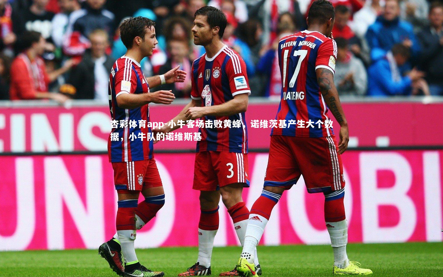 杏彩体育app-小牛客场击败黄蜂，诺维茨基产生大个数据，小牛队的诺维斯基